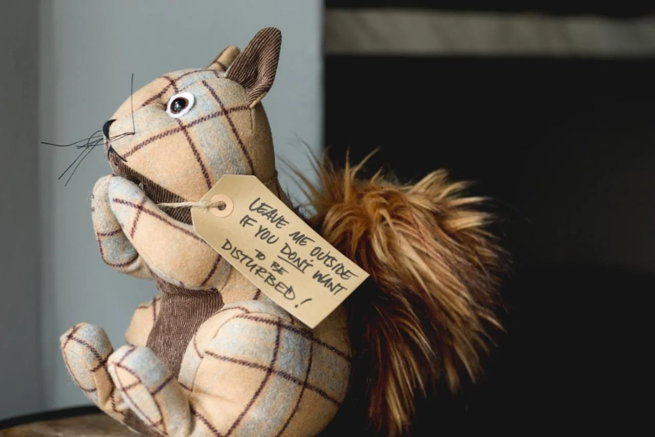 a stuffed animal with a piece of paper on it at Pontcanna Inn in Cardiff